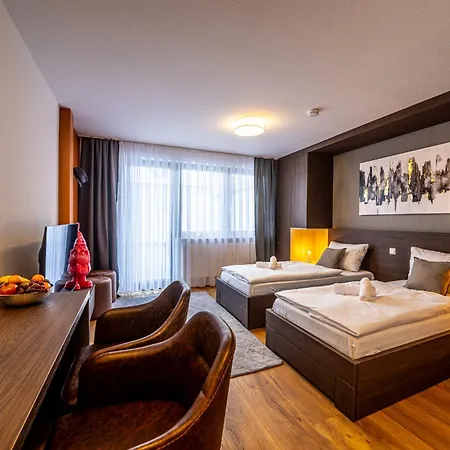 City-house-achern דירה אכרן